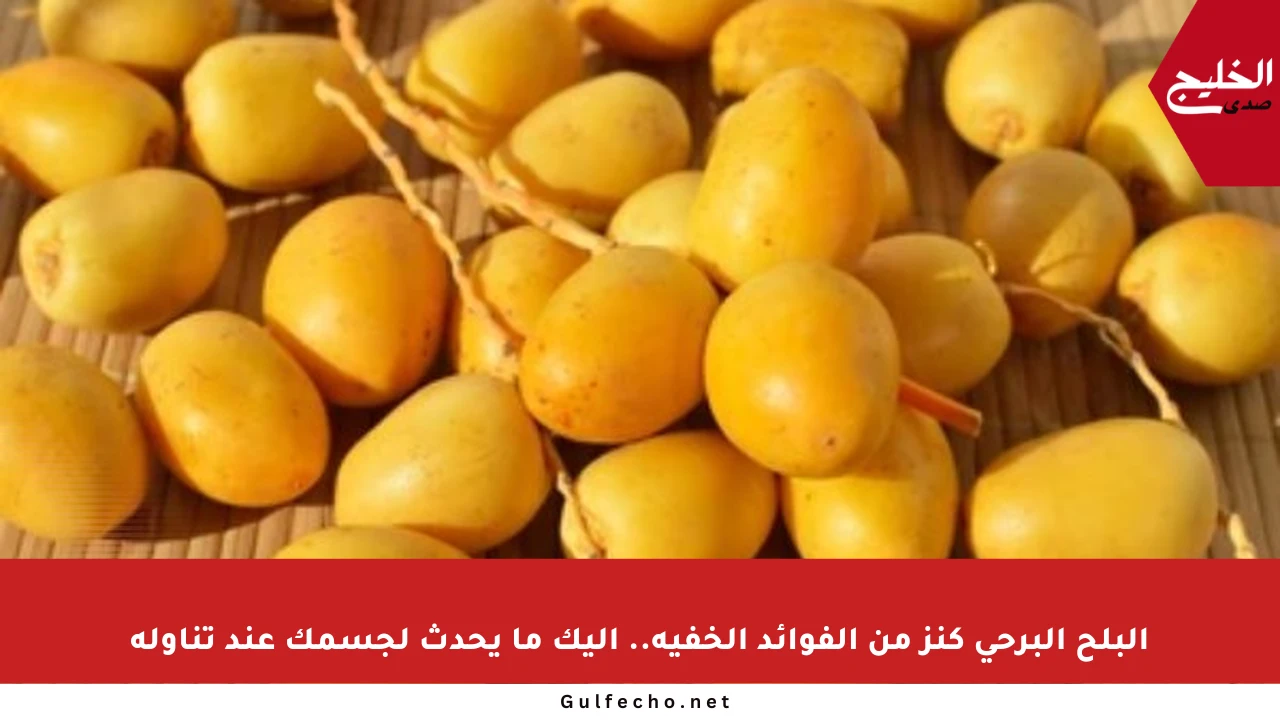 البلح البرحي كنز من الفوائد الخفية.. إليك ما يحدث لجسمك عند تناوله